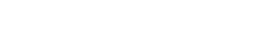 partner's logo